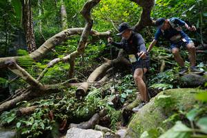 BIB: 
                            <button type="button" onclick="openModal(19407716)" class="btn btn-primary btn-sm float-right btn-popup" data-toggle="modal" data-target=".modal-high-quality">
                        <i class="fas fa-shopping-cart"></i> Add to Cart
                    </button>
                                            <button type="button" onclick="isThisMe(19407716, true)" class="btn btn-success btn-sm float-right btn-popup btn-isme hidden" data-toggle="tooltip" data-placement="bottom" title="นี่คือรูปของคุณใช่ไหม คลิกที่นี่เพื่อเอาเข้าอัลบั้ม">
                        <i class="fas fa-plus"></i> Add to album
                    </button>
                    <button type="button" onclick="isThisMe(19407716, false)" class="btn btn-warning btn-sm float-right btn-popup btn-isnotme hidden">
                        <i class="fas fa-ban"></i> Remove from album
                    </button>